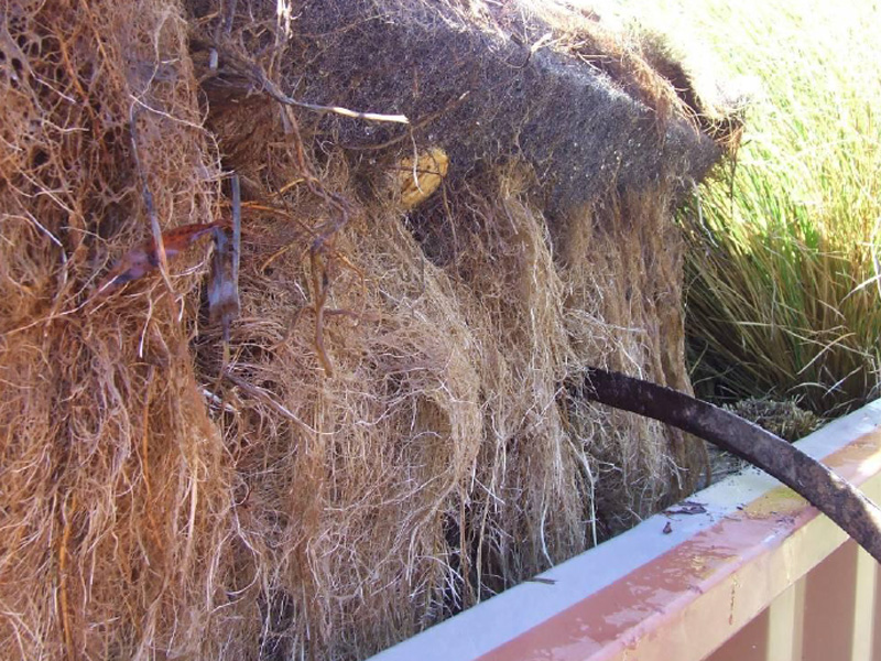 百奧源&reg;浮動濕地根系發(fā)達，密度大大高于人工濕地