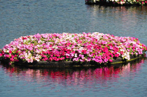 高分子纖維浮動濕地