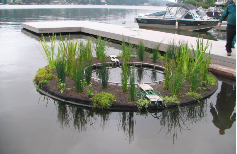 太陽(yáng)能推流爆氣設(shè)備 太陽(yáng)能推流爆氣設(shè)備